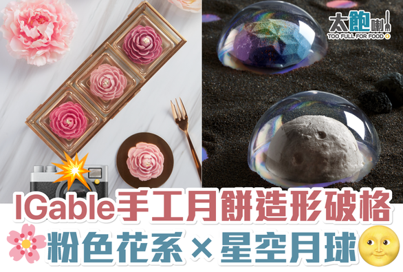 Too Full For Food 太飽喇｜IGable手工月餅造型破格 粉色花系x星空月球